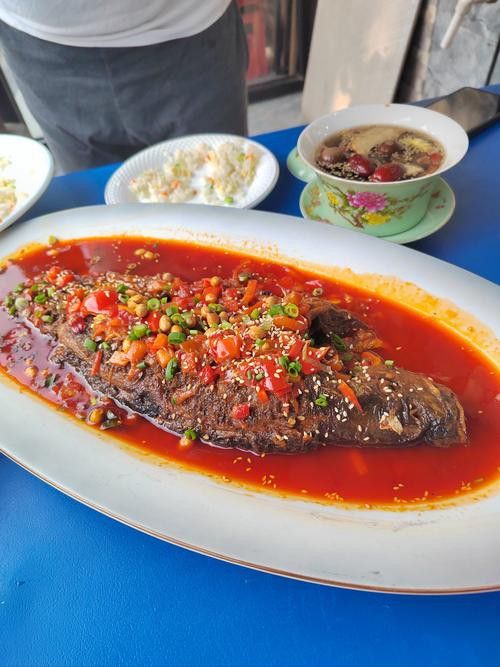 蘭州龍魚哪家好吃又實惠 蘭州龍魚哪家好吃又實惠 龍魚百科 第3張