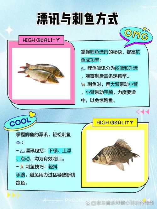 鯉魚和鯽魚圖片對比