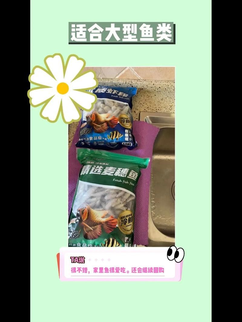 銀龍魚喂什么魚食最好