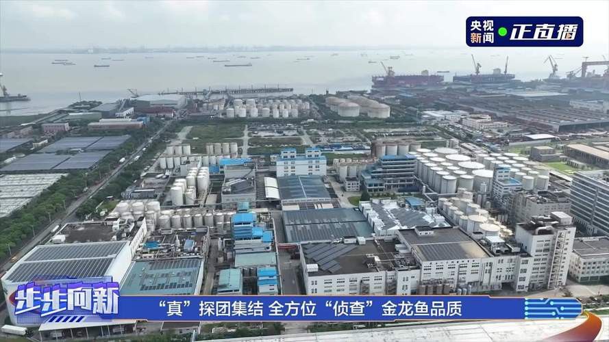 金龍魚色拉油產地哪里