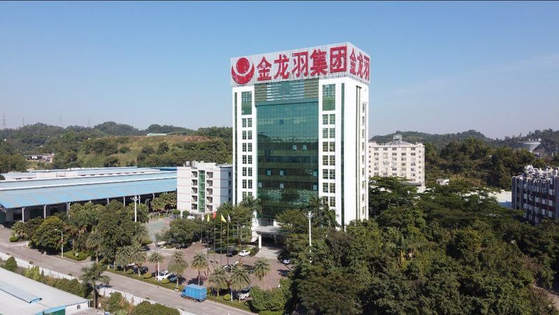 金龍羽的主營業務是什么？