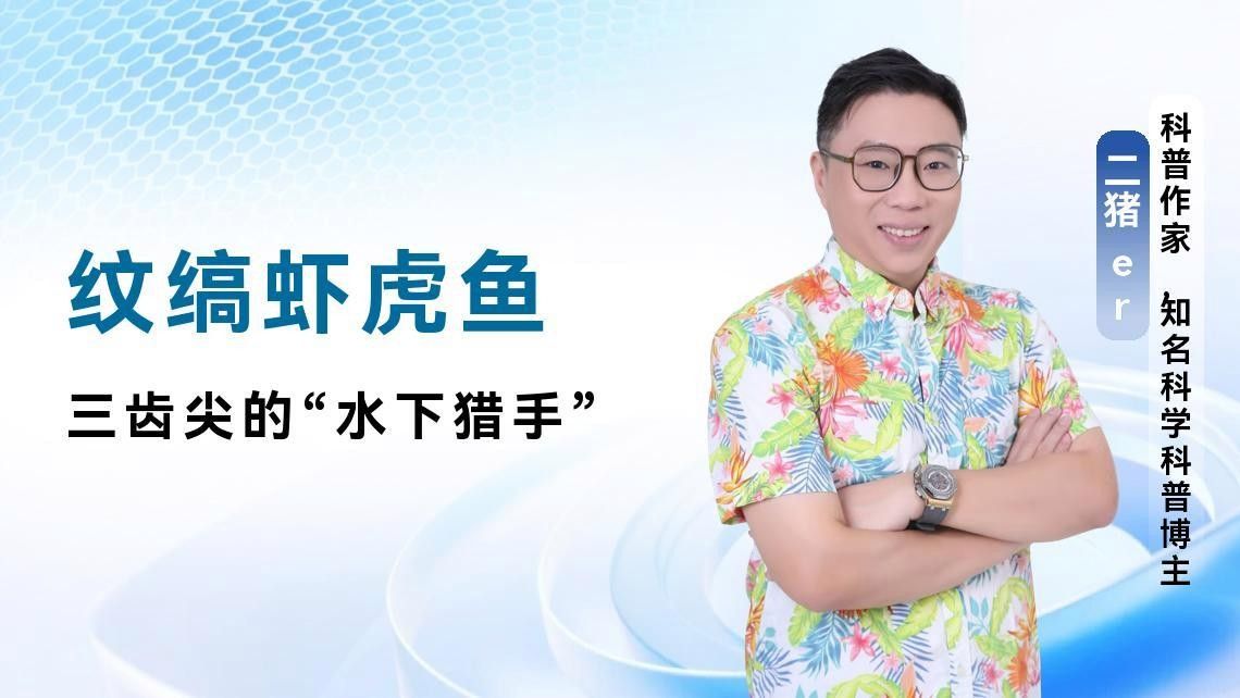 雷龍魚可以和蝦虎混養嗎圖片大全
