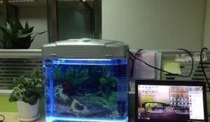 魚缸過濾器太響怎么辦，如何自制隔音盒降噪魚缸過濾器噪音大的原因