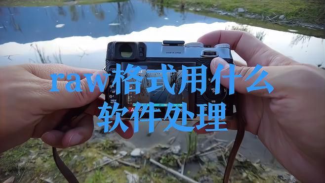 有哪些常用的RAW格式調整工具？ 有哪些常用的RAW格式調整工具？ 龍魚百科 第1張