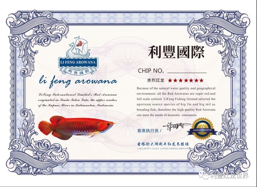 查詢龍魚的證書號碼可以通過兩種主要方法進行查詢：大神們龍魚證書怎么查詢龍魚的證書號碼