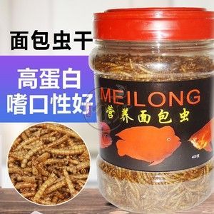 龍魚 甲硝唑：第28屆中國國際寵物水族展覽會cips)祥龍魚黃粉用法