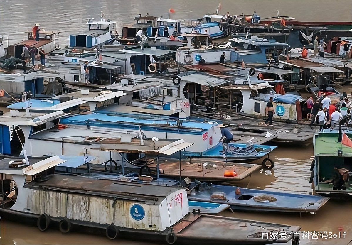 如何科學解釋魚死亡現象？