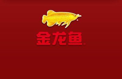關于金龍魚的成語（關于金龍魚的成語：金龍魚的寓意）