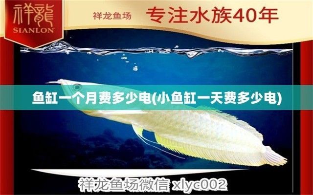 一個(gè)魚(yú)缸一個(gè)月用電量費(fèi)用