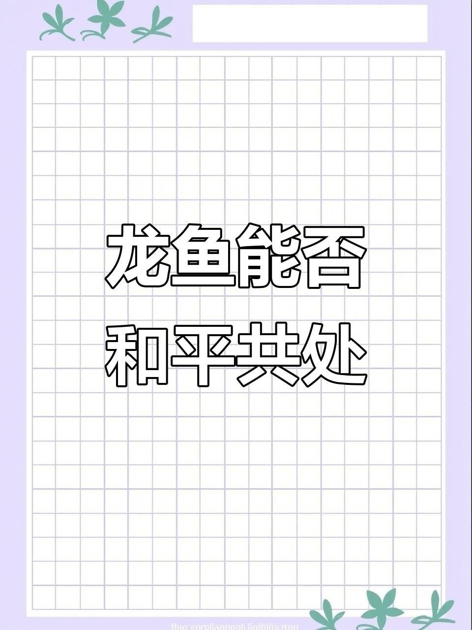 龍魚混養有哪些成功案例？