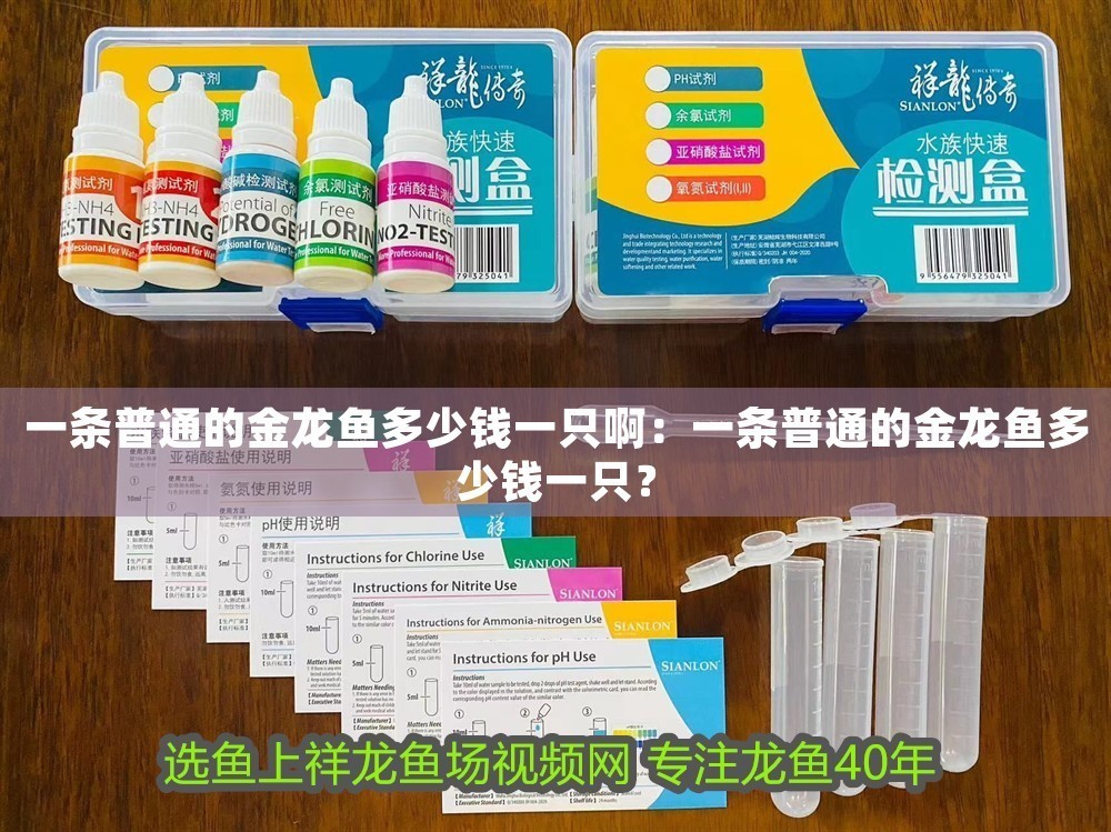 一條普通的金龍魚多少錢一只啊：一條普通的金龍魚多少錢一只？
