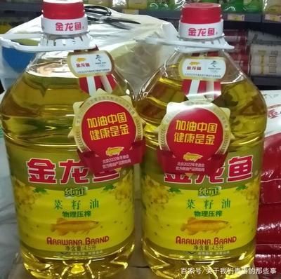 金龍魚價值多少元一條（金龍魚市場價格趨勢） 金龍魚價值多少元一條（金龍魚市場價格趨勢） 龍魚百科 第2張