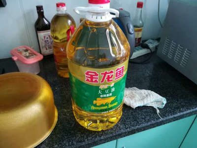 金龍魚價值多少元一條（金龍魚市場價格趨勢） 金龍魚價值多少元一條（金龍魚市場價格趨勢） 龍魚百科 第5張