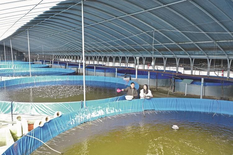 給我推薦幾家信譽良好的金龍魚養殖場