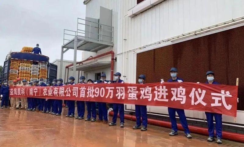 給我推薦幾家信譽良好的金龍魚養殖場