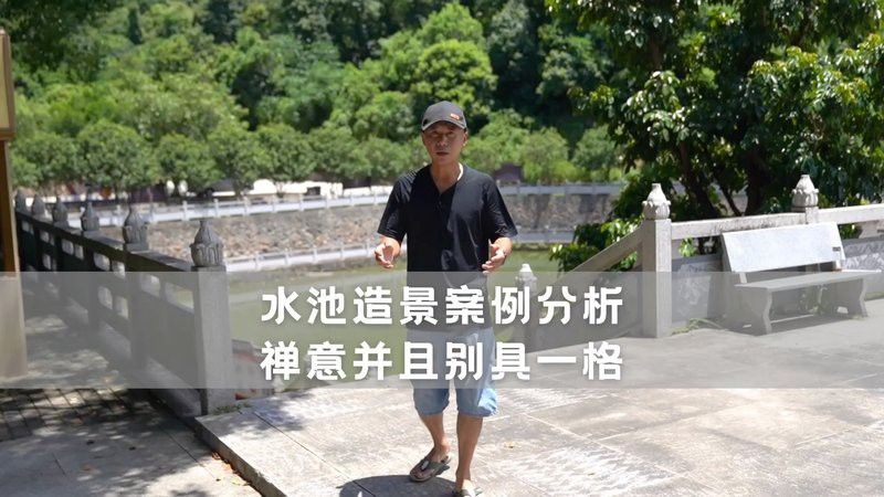 金龍魚攝影作品