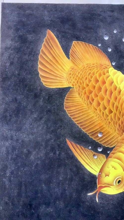國畫金龍魚圖片大全大圖視頻 國畫金龍魚圖片大全大圖視頻 龍魚百科 第17張