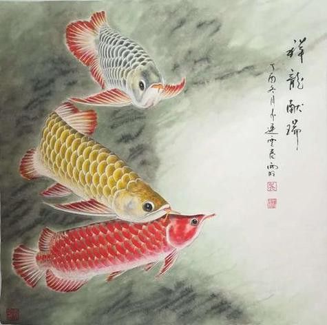 國畫金龍魚圖片大全大圖視頻 國畫金龍魚圖片大全大圖視頻 龍魚百科 第18張