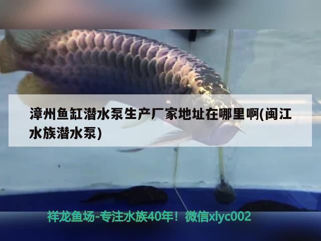 <strong><mark>漳州</mark></strong>魚缸潛水泵生產廠家地址在哪里啊(閩江水族潛水泵)