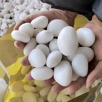 鵝卵石魚缸造景圖片擺法視頻（如何選擇合適的鵝卵石水族箱造景創意設計案例）