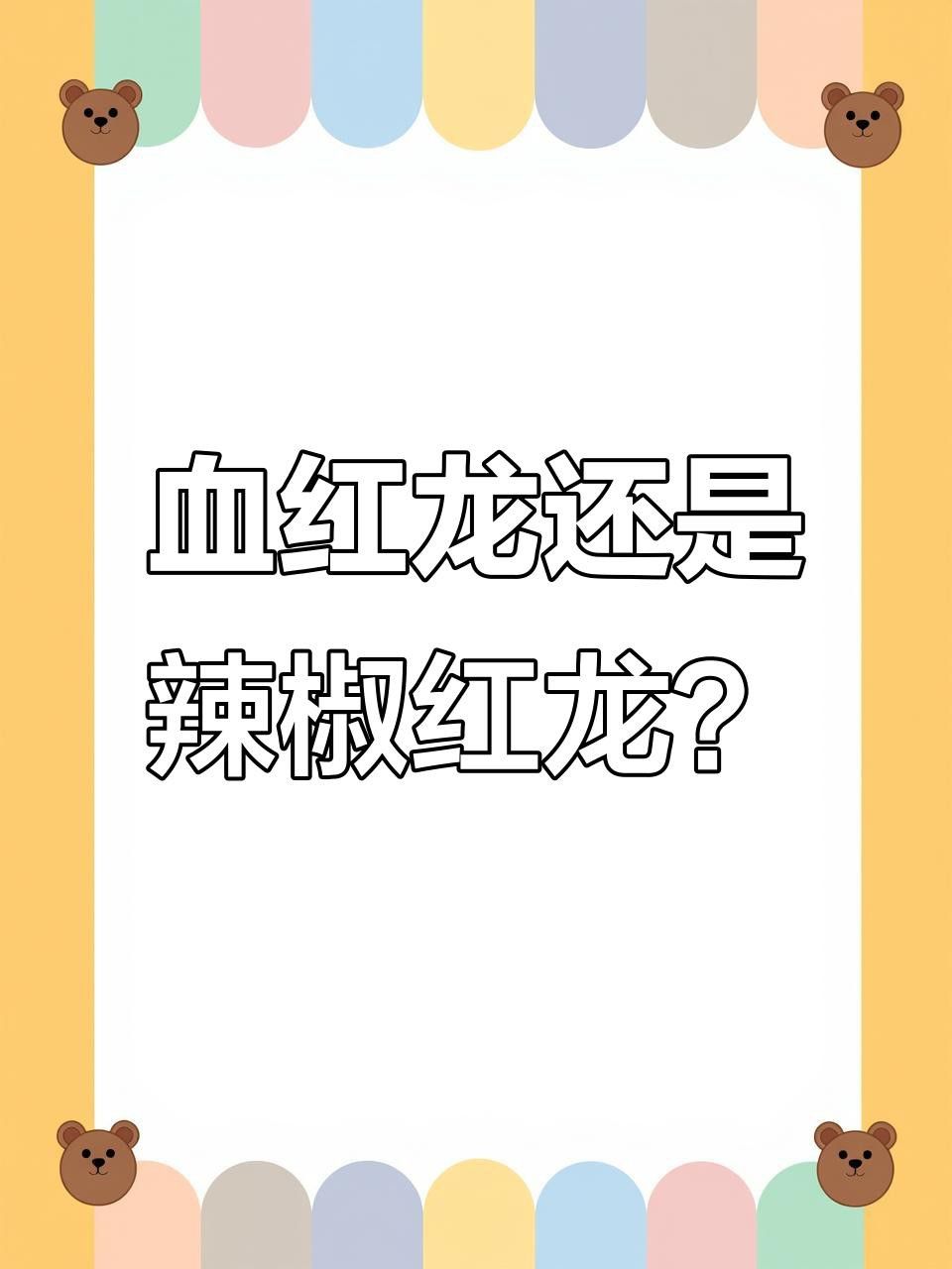 紅龍魚(yú)有哪些知名品種？ 紅龍魚(yú)有哪些知名品種？ 龍魚(yú)百科 第2張