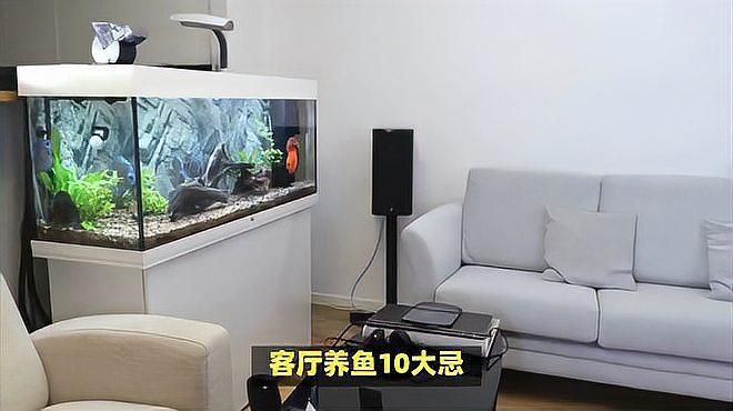 客廳養魚10大忌