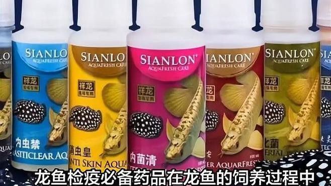 龍魚專用藥物中哪個(gè)品牌最好？