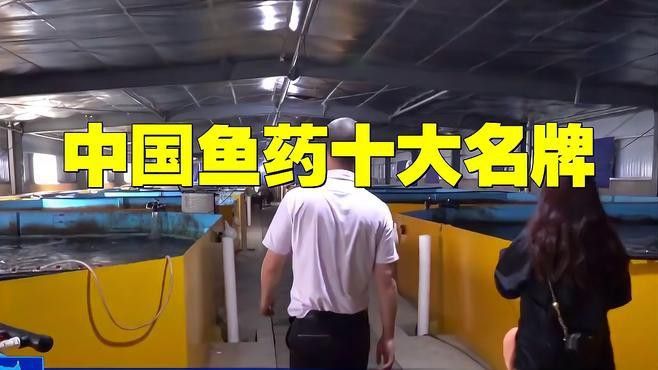 龍魚專用藥物中哪個(gè)品牌最好？