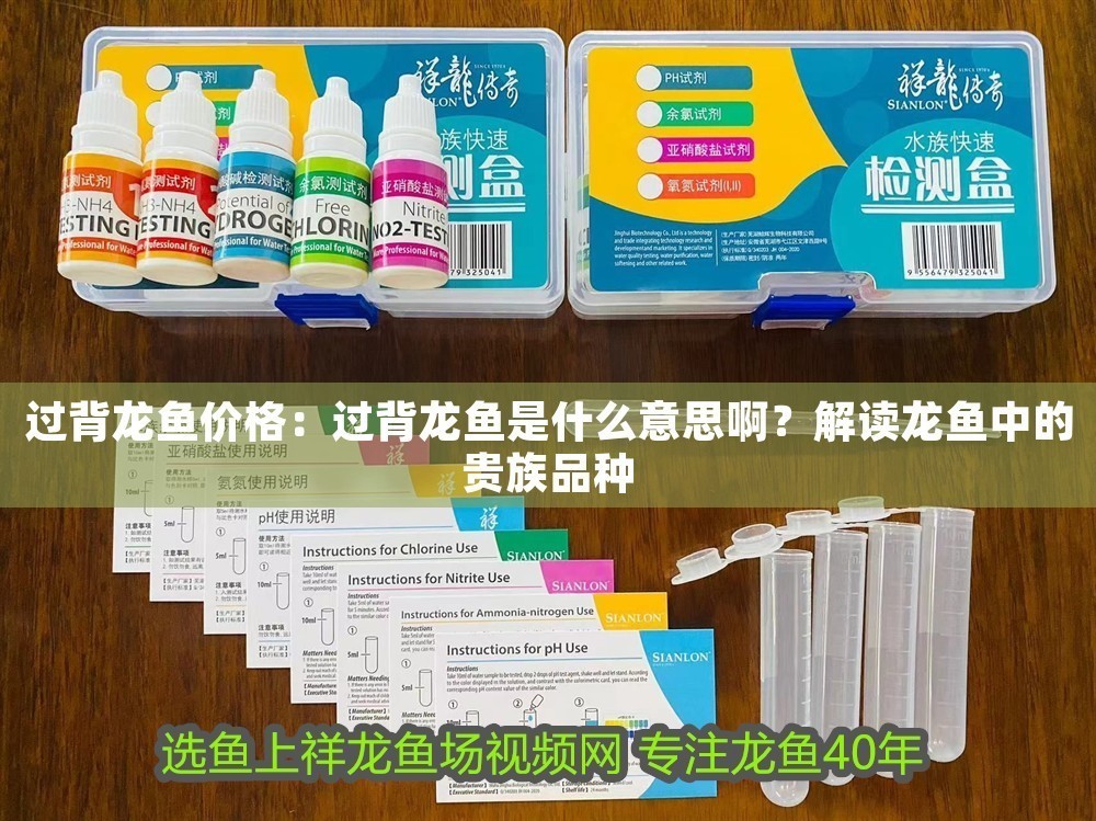 過背龍魚價格：過背龍魚是什么意思??？解讀龍魚中的貴族品種