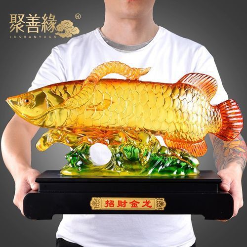 金龍魚招財魚