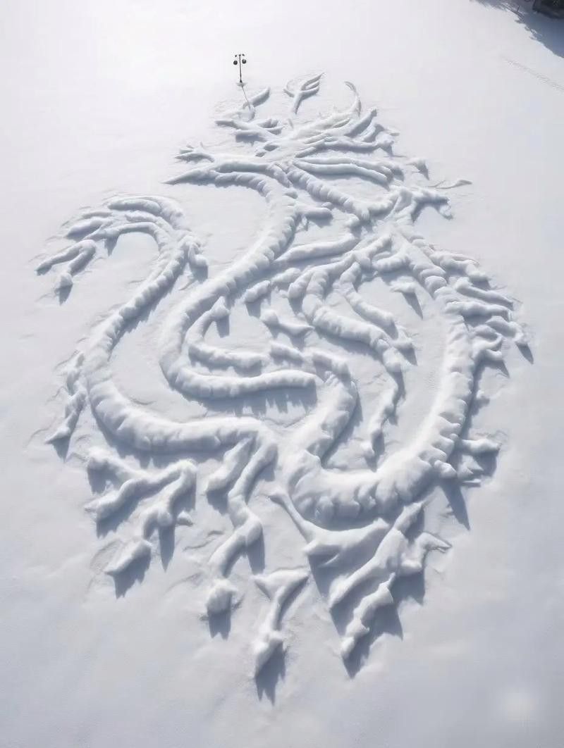 如何辨別真假雪龍魚？