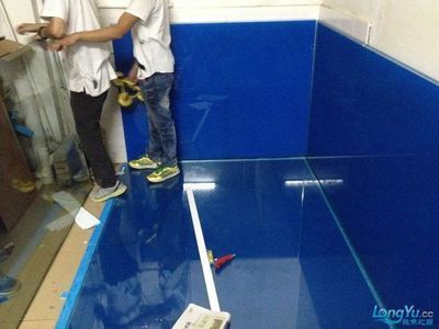 龍魚地缸：養龍魚地缸尺寸要求、水質管理、飼養注意事項以及飼養注意事項 龍魚地缸：養龍魚地缸尺寸要求、水質管理、飼養注意事項以及飼養注意事項 龍魚百科 第2張