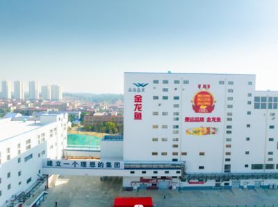 湖南金龍魚實業有限公司【湖南金龍魚實業有限公司在湖南金龍魚實業有限公司在哪里】 湖南金龍魚實業有限公司【湖南金龍魚實業有限公司在湖南金龍魚實業有限公司在哪里】 龍魚百科 第4張