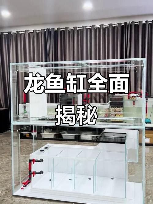 博世龍魚缸價格及圖片及價格