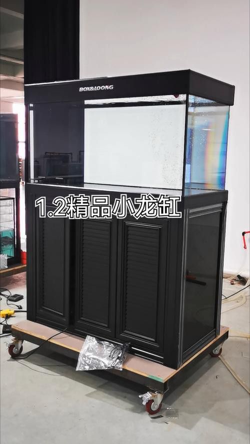 博世龍魚缸價格及圖片及價格
