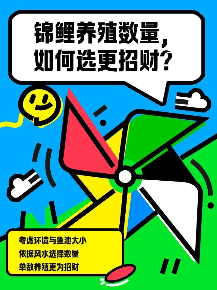 錦鯉一選好還是二選好