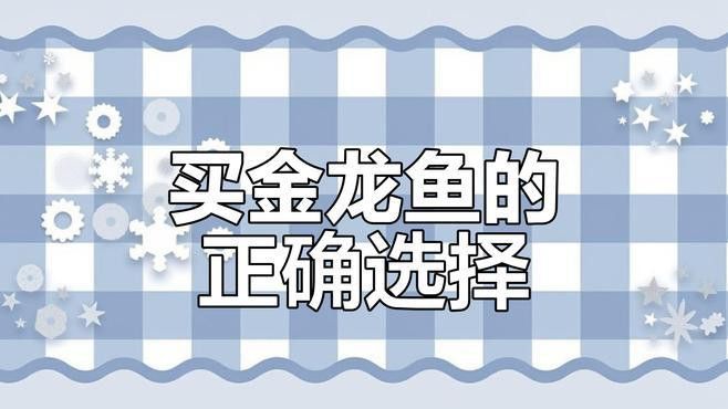 如何區(qū)分24K金龍魚的稀有品種？
