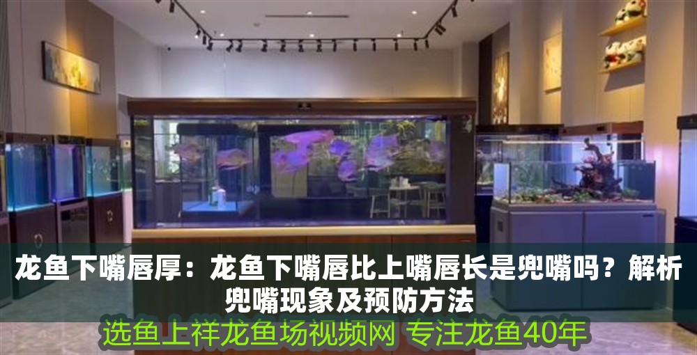龍魚下嘴唇厚：龍魚下嘴唇比上嘴唇長是兜嘴嗎？解析兜嘴現象及預防方法