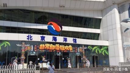 北京龍魚批發(fā)市場營業(yè)時(shí)間，北京龍魚批發(fā)市場周末營業(yè)嗎