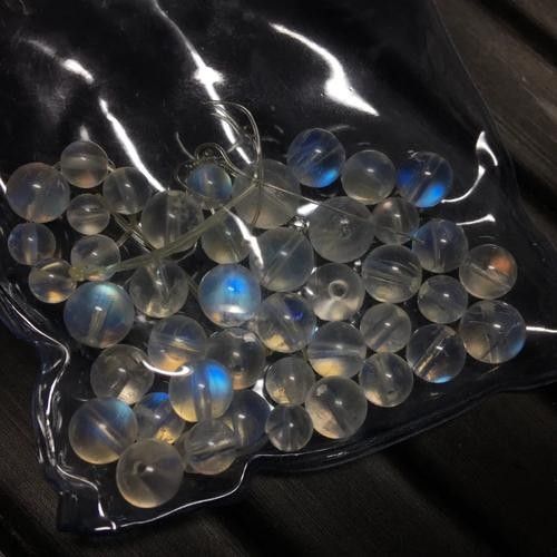 銀龍魚混養最佳搭配圖片大全圖解