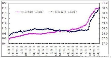 金龍魚尺寸分類：金龍魚品種分類詳解金龍魚的尺寸與其品種有關