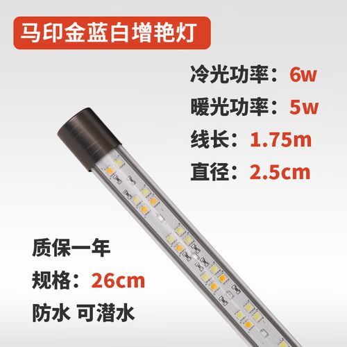 藍底金龍魚用什么燈好看圖片高清