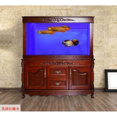 錦鯉龍魚風(fēng)水：錦鯉和龍魚在風(fēng)水上有什么作用？ 錦鯉龍魚風(fēng)水：錦鯉和龍魚在風(fēng)水上有什么作用？ 龍魚百科 第3張