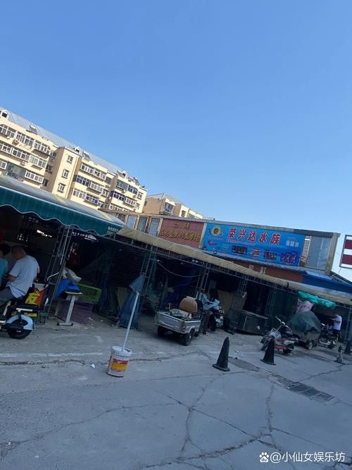 石家莊哪里有賣雷龍魚的市場