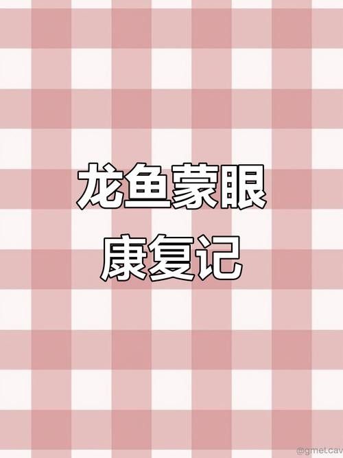 龍魚蒙眼應該怎么治療好呢圖片 龍魚蒙眼應該怎么治療好呢圖片 龍魚百科 第20張