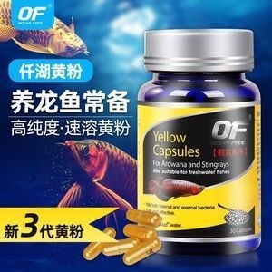 龍魚 白毛：龍魚白點病怎么辦