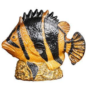 金龍魚變色：金龍魚的體色變化可能與其遺傳基因有關(guān) 金龍魚變色：金龍魚的體色變化可能與其遺傳基因有關(guān) 龍魚百科 第7張
