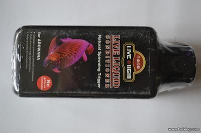 頂級龍魚批發商家（頂級龍魚批發商家信息） 頂級龍魚批發商家（頂級龍魚批發商家信息） 龍魚百科 第2張