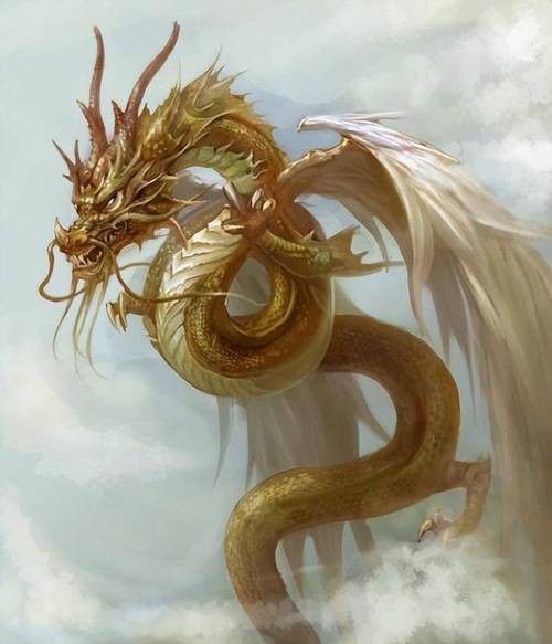百萬紅龍魚圖片