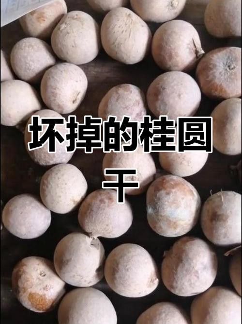 干龍眼放久了還能吃嗎？